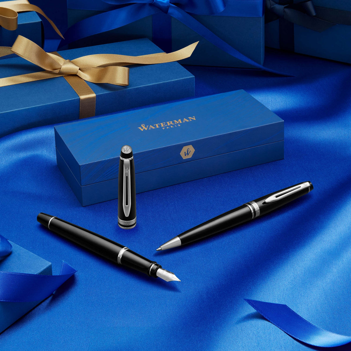 Waterman Expert Black Gold Trim Ballpoint Pen Medium Tip