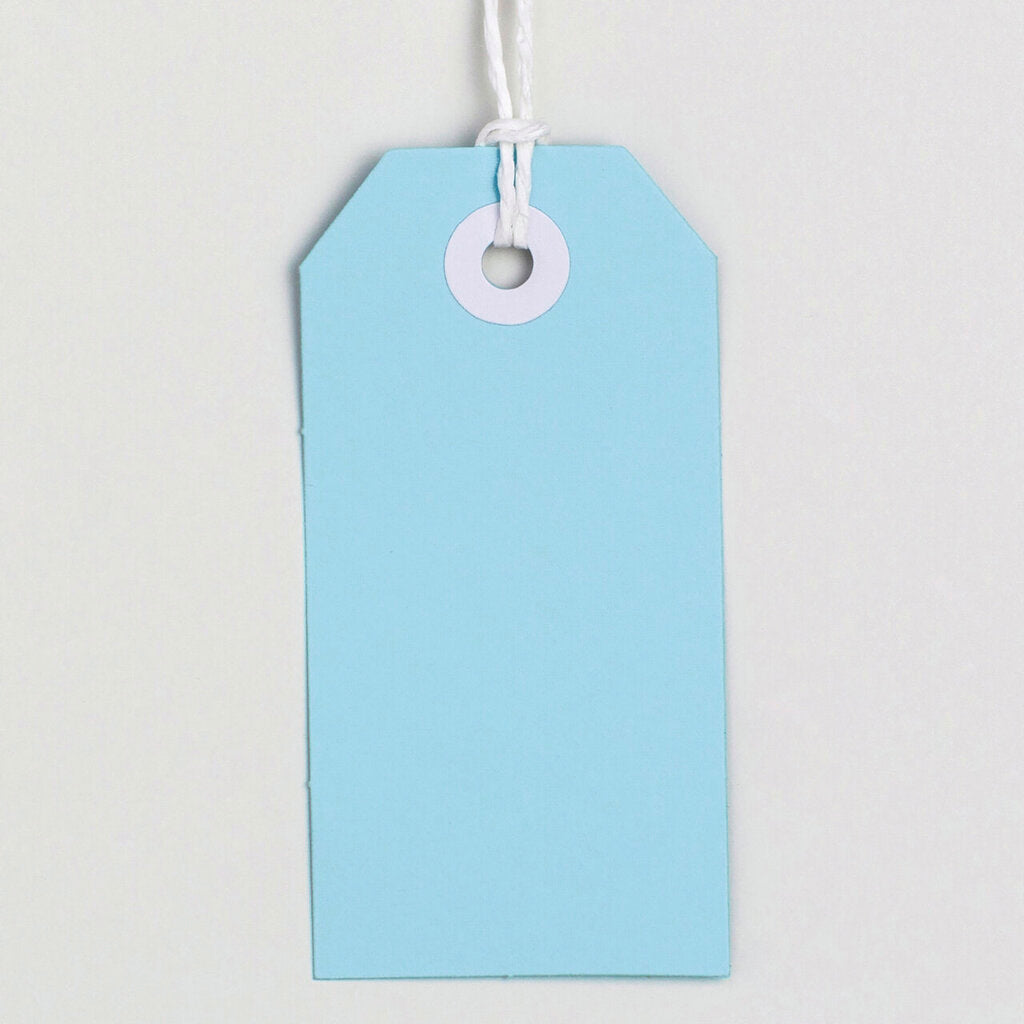 Avery Tag-It with String Size 3 Pastel Blue Pack 24