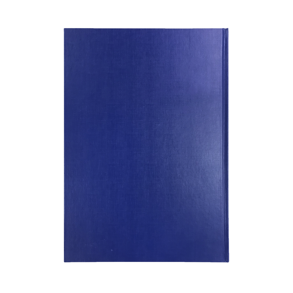 Collins Kingsgrove Diary 2027 A4 Day to a Page Blue