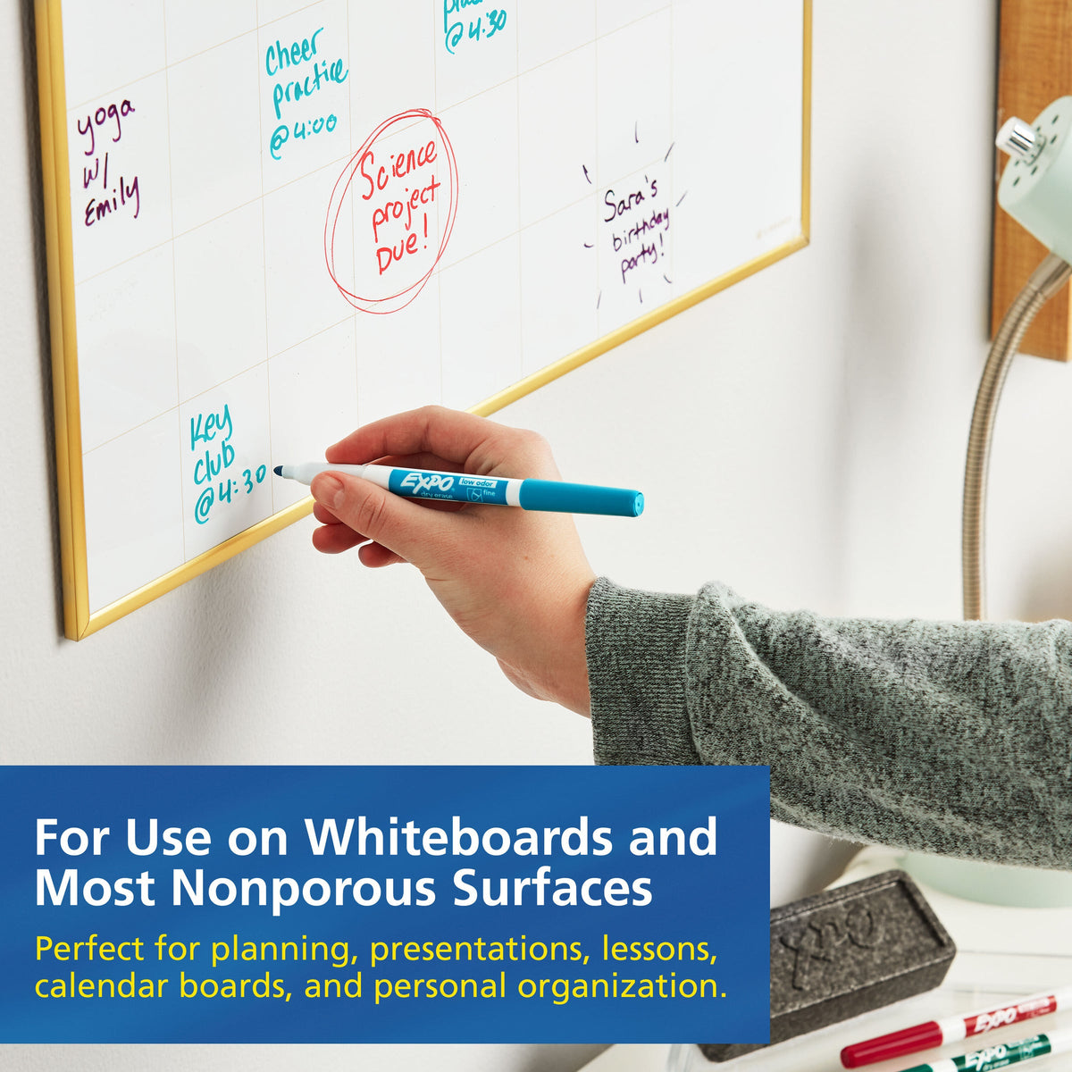 Expo Low Odour Dry Erase Whiteboard Markers Fine Tip Assorted Box 36