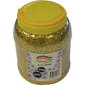 Rainbow Glitter Bulk 1kg Jar with Scoop Gold