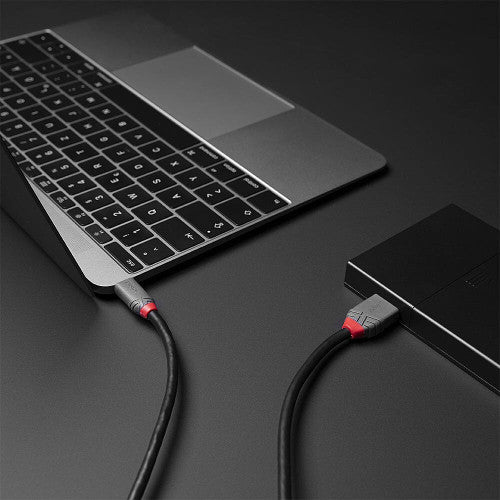 Lindy 1m USB 3.2 Type C to Micro-B Cable 5Gbps Anthra Line