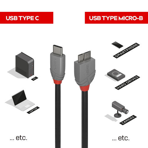 Lindy 2m USB 3.2 Type C to Micro-B Cable 5Gbps Anthra Line