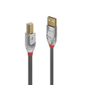 Lindy 1m USB 2.0 Type A to B Cable Cromo Line
