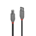 Lindy 0.5m USB 2.0 Type A to B Cable Anthra Line