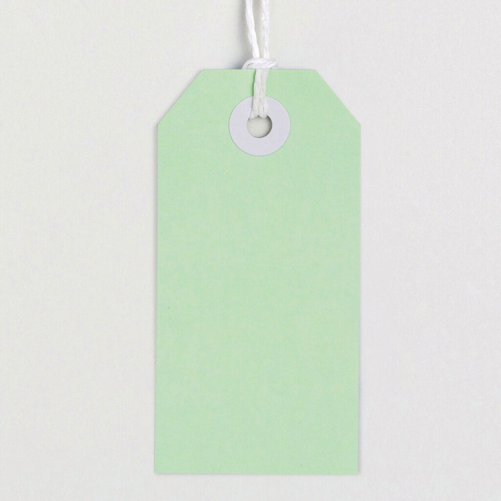 Avery Tag-It with String Size 3 Pastel Green Pack 24