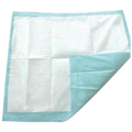 Bluey Disposable Underpad 60 x 40cm