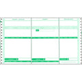 Bala IAL Statement Continuous Business Forms 216 x 381mm Box of 1000