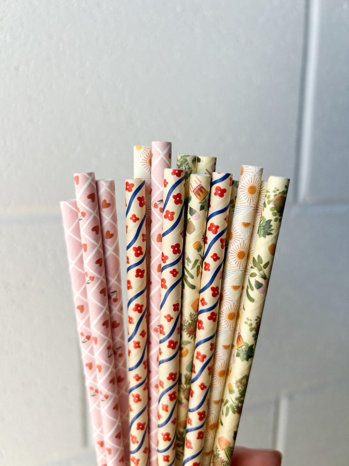 Creative Cafe Co 4ply Regular 6mm Printed Paper Straws - Carton 2400