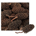 Zart Bud Cones 220g