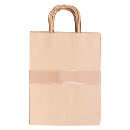 Zart Medium Paper Bags with Handle Pack of 10