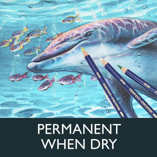 Derwent Inktense Pencil Dark Chocolate Box of 6