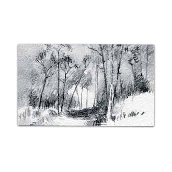 Derwent Watersoluble Graphitone Pencil 8B Stick Box of 12