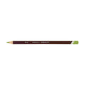 Derwent Coloursoft Pencil Lime Green Box of 6