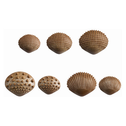 EDX Education Tactile Shells Set