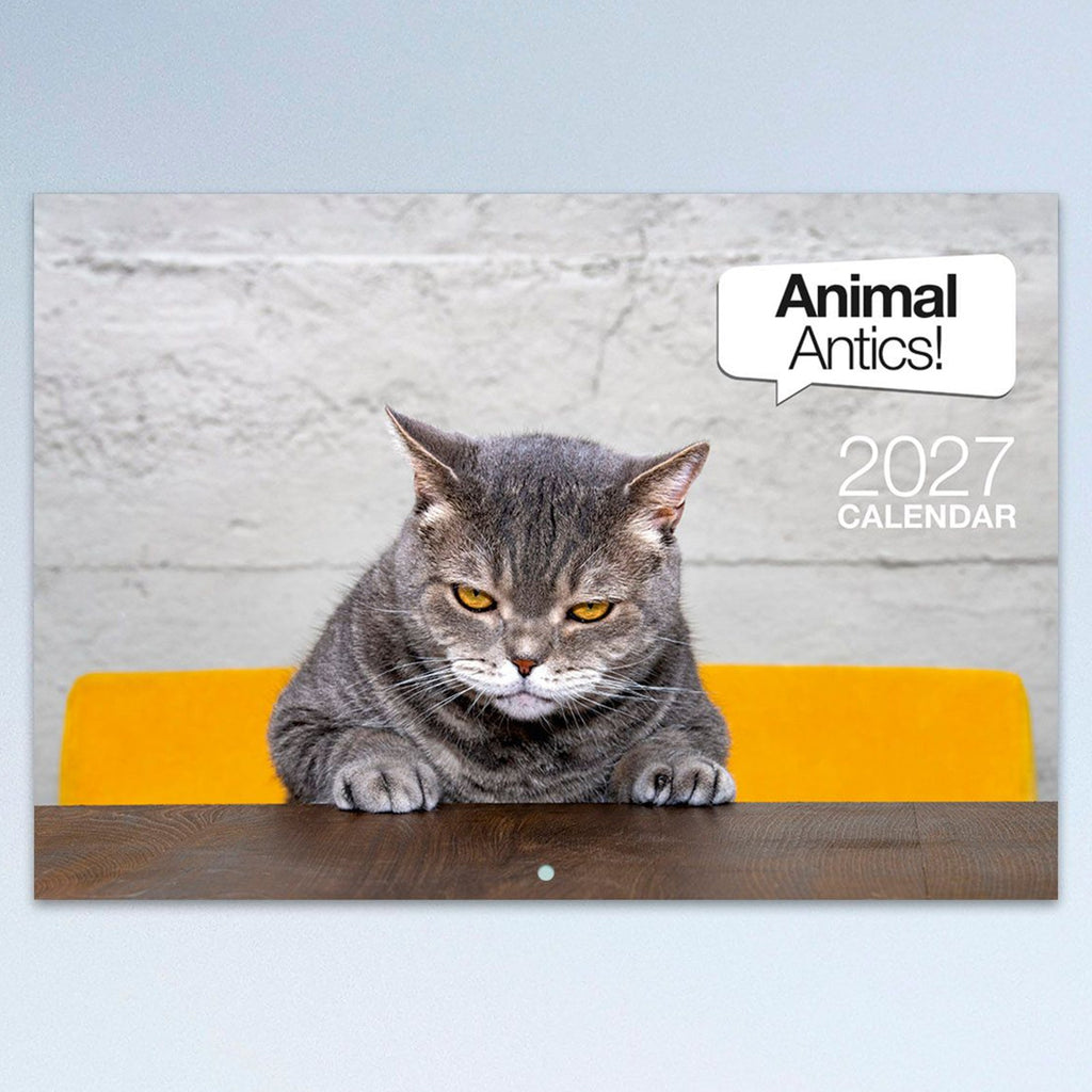 Easy2C Calendar 2027 Stitched Animal Antics A4