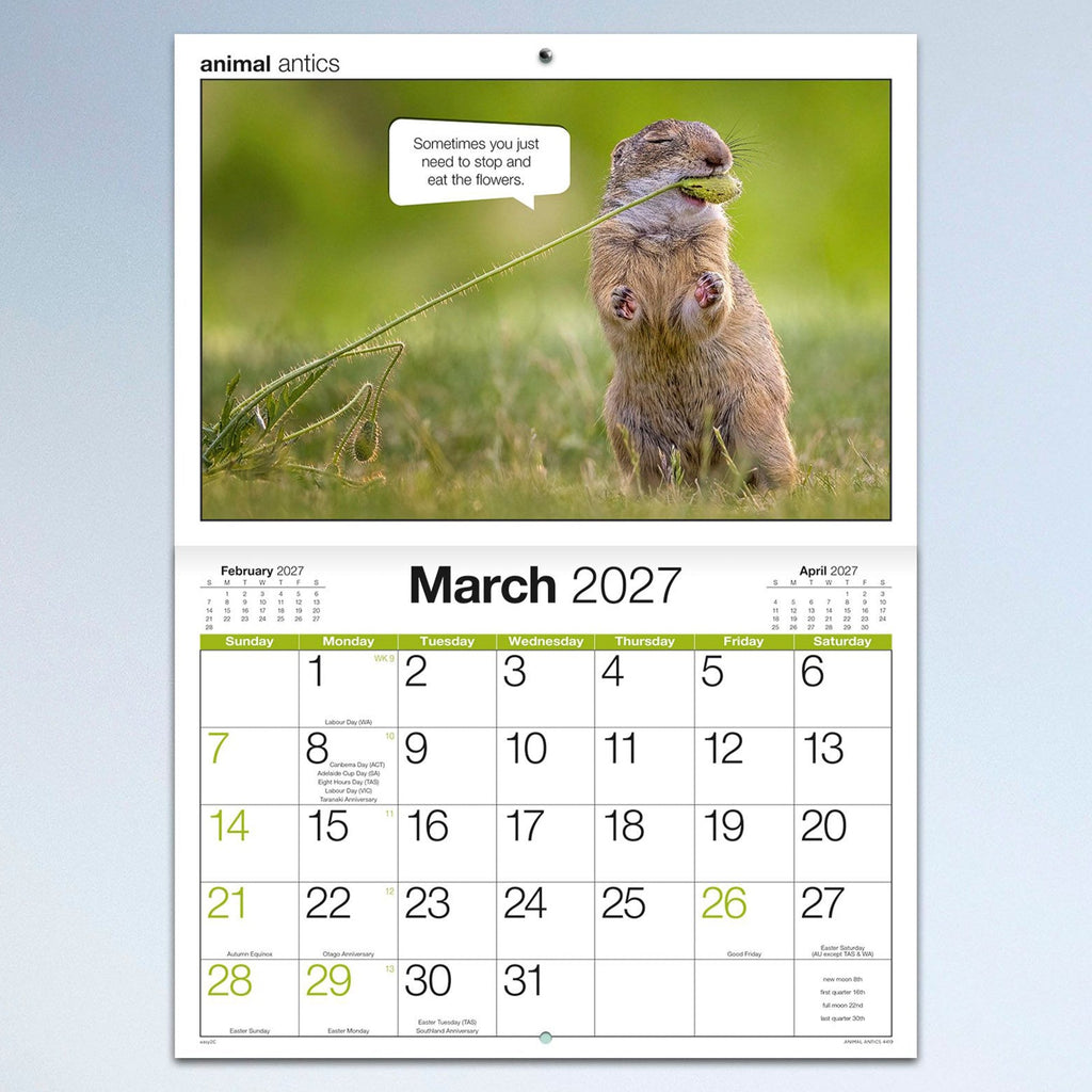 Easy2C Calendar 2027 Stitched Animal Antics A4