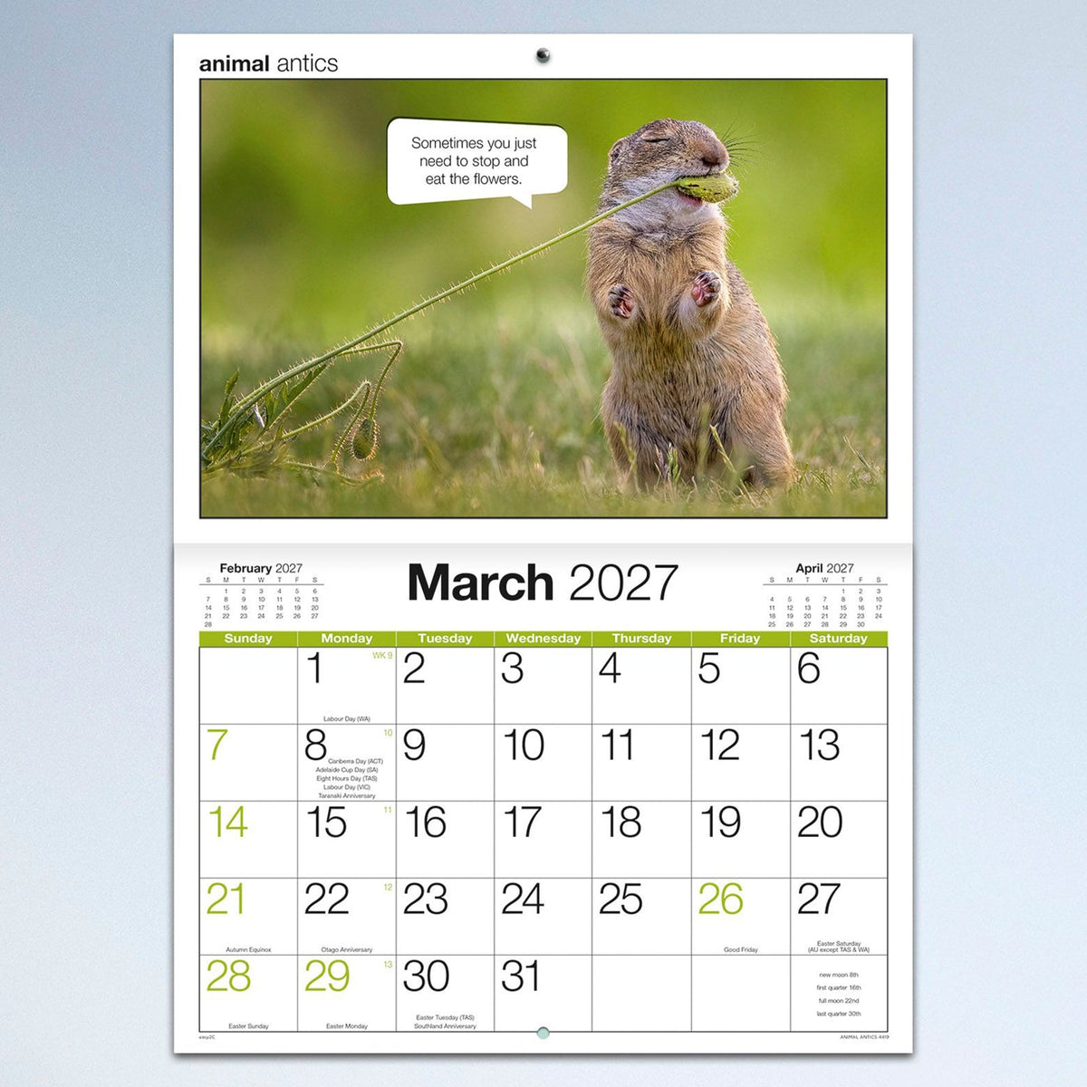 Easy2C Calendar 2027 Stitched Animal Antics A4