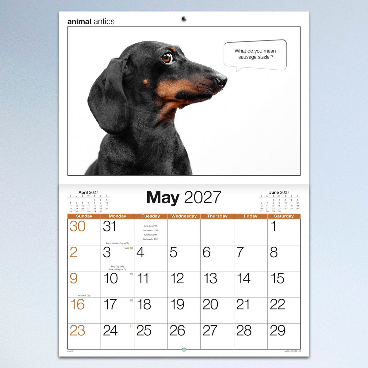 Easy2C Calendar 2027 Stitched Animal Antics A4