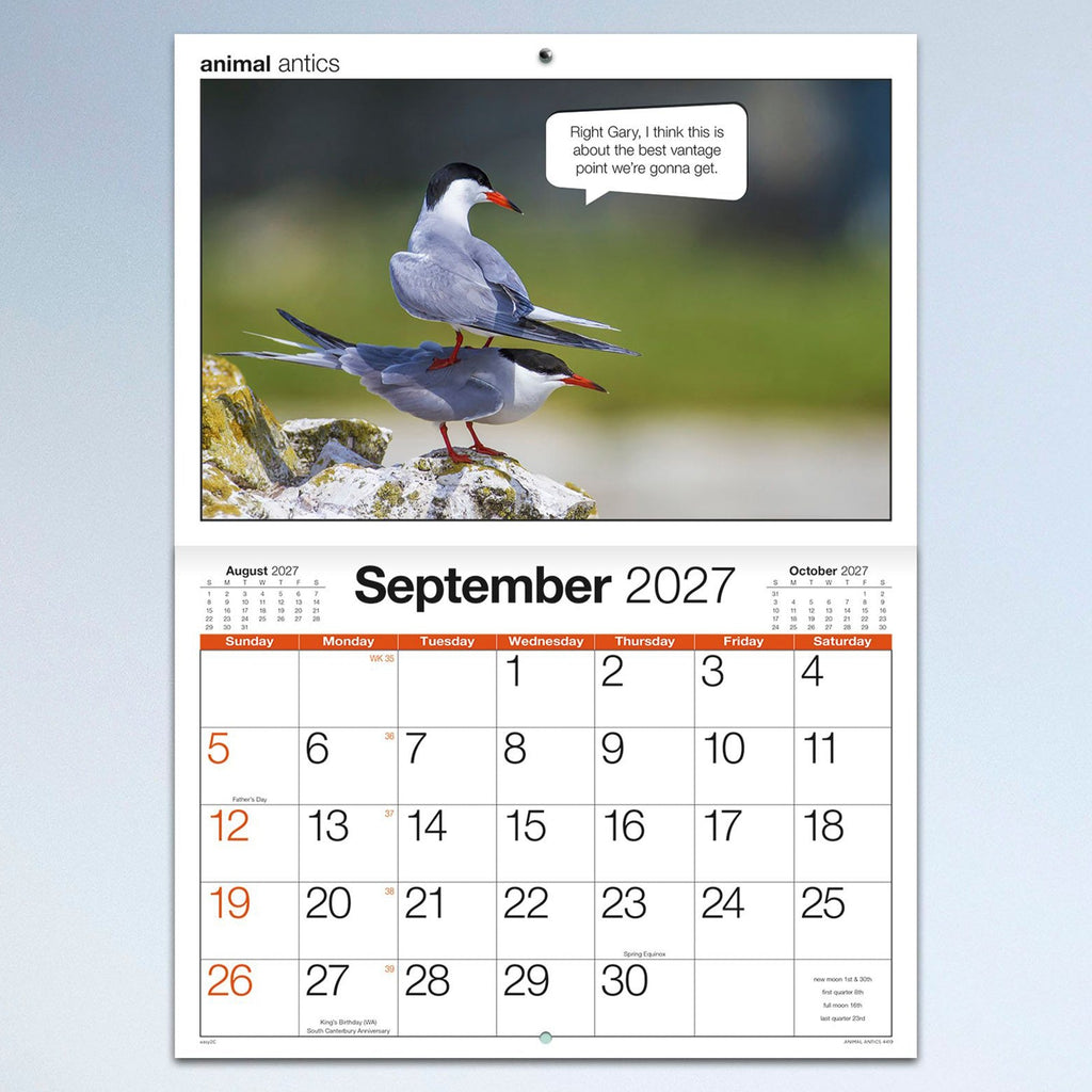 Easy2C Calendar 2027 Stitched Animal Antics A4