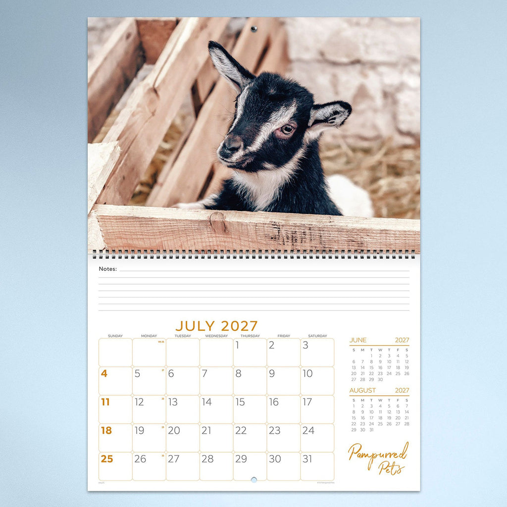 Easy2C Calendar 2027 Wiro Pampurred Pets 337 x 240mm