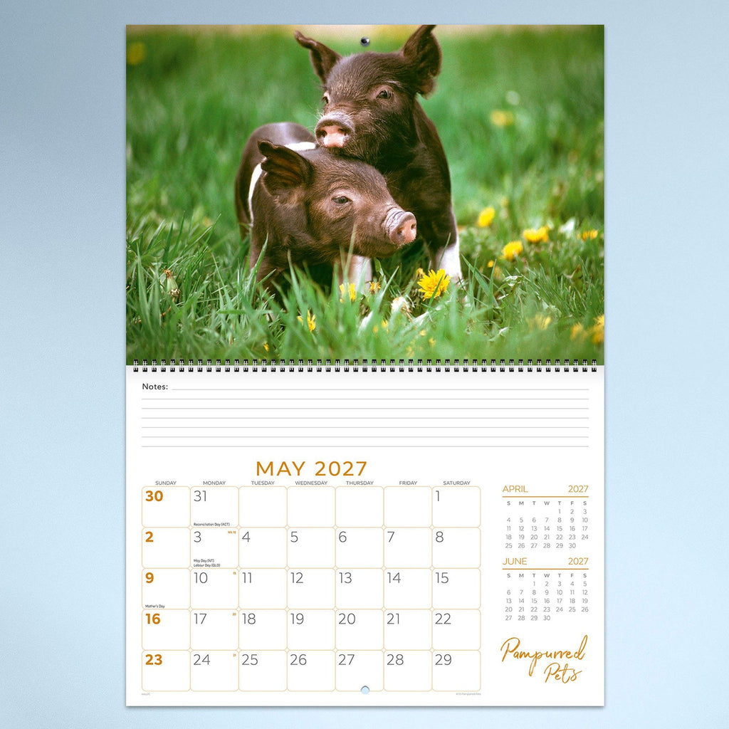 Easy2C Calendar 2027 Wiro Pampurred Pets 337 x 240mm