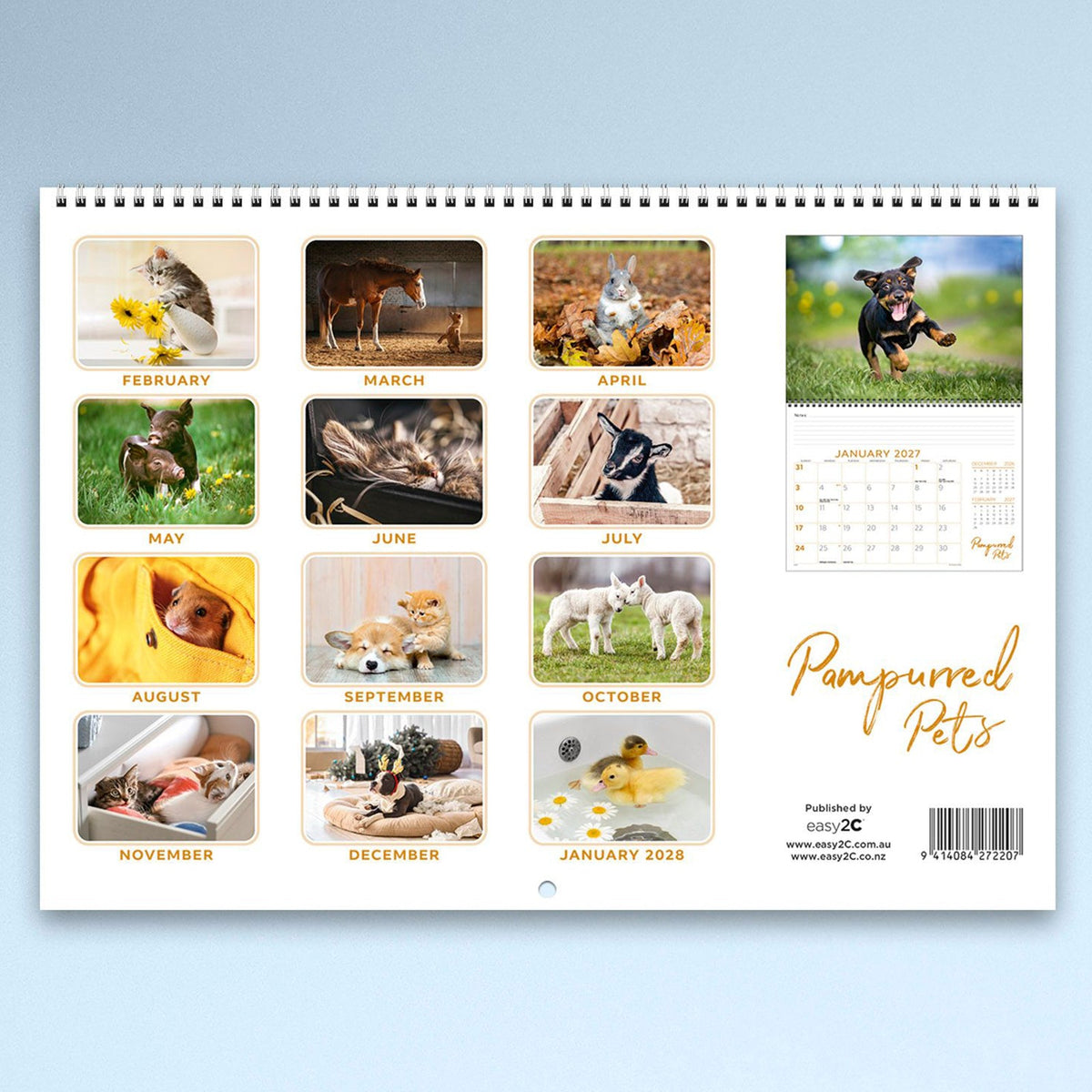 Easy2C Calendar 2027 Wiro Pampurred Pets 337 x 240mm