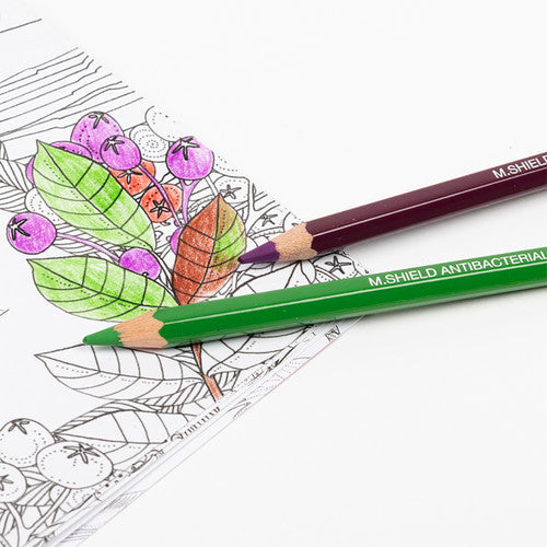 Micador ColouRush Coloured Pencils FSC 100% Assorted Tin of 24