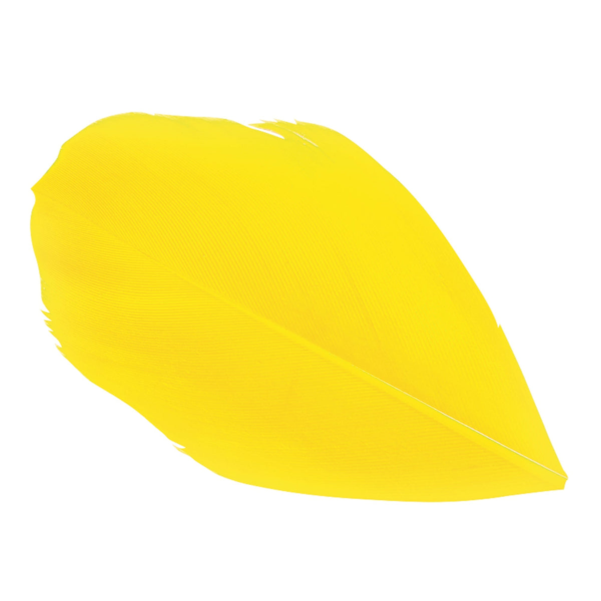 Trimmed Feathers Red Yellow and Black Leaf Shaped Pack