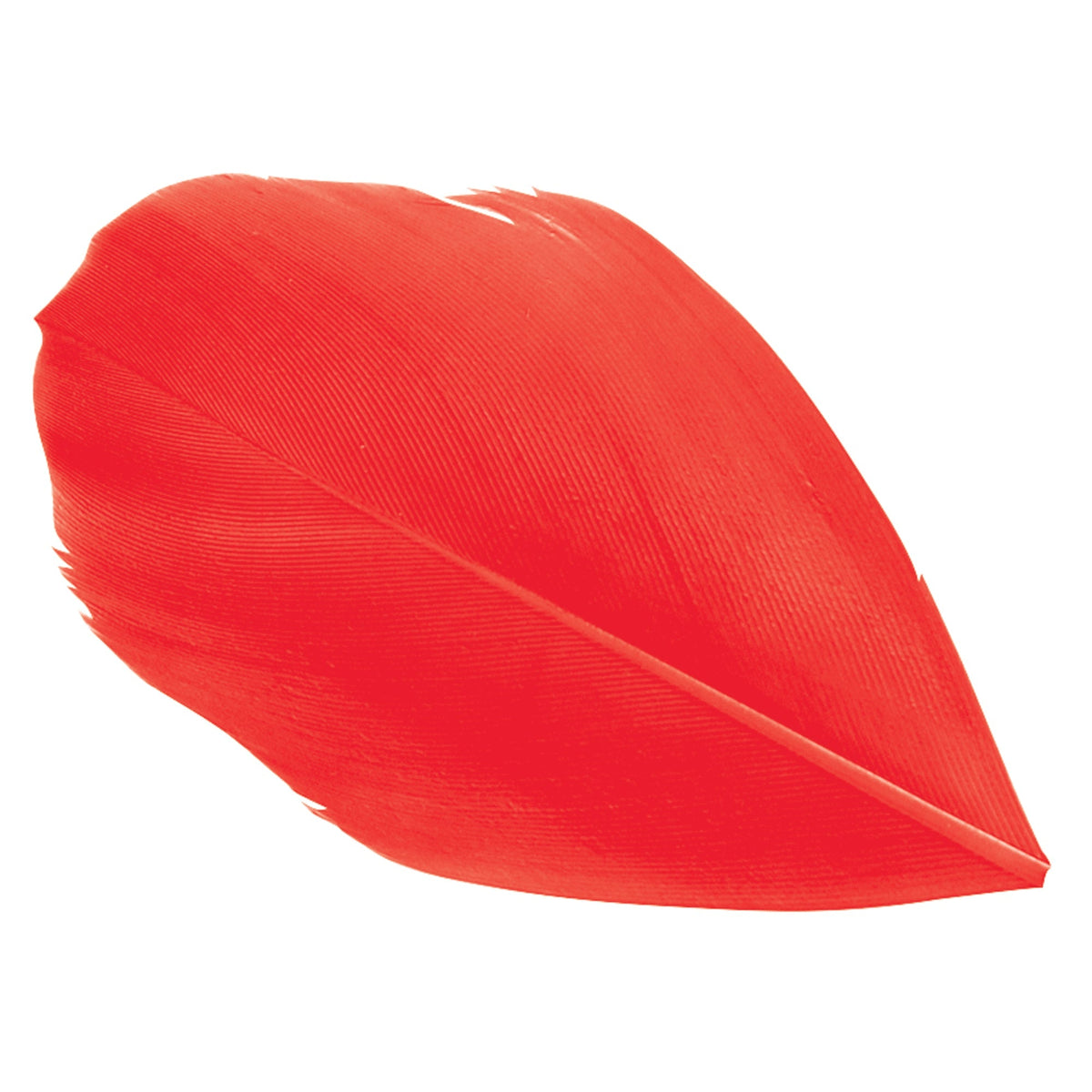 Trimmed Feathers Red Yellow and Black Leaf Shaped Pack