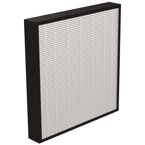 AeraMax Professional HEPA Filter with Antimicrobial Treatment Pack 2 for AM III and IV Air Purifiers