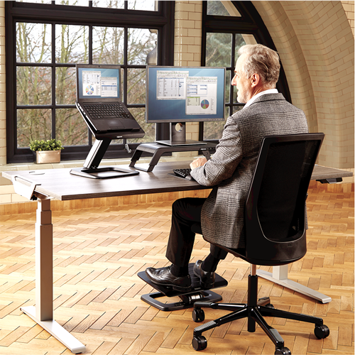 Fellowes Hana Monitor Riser USB 22.6kg Black