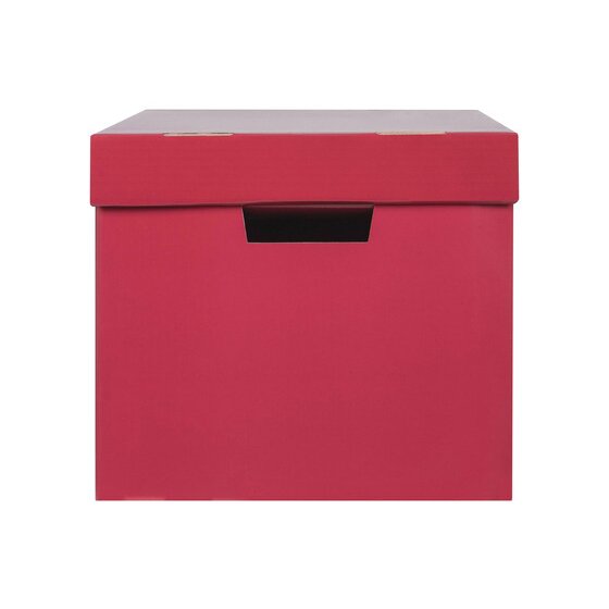 Marbig Coloured Archive Box Berry Pack of 10