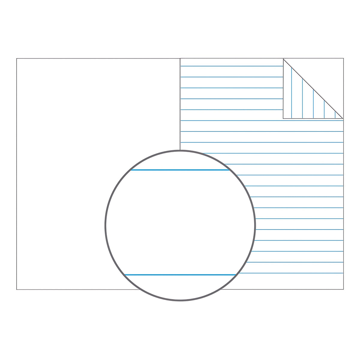 Olympic Botany Book A4 64 Pages 14mm Feint Ruled Pack of 20