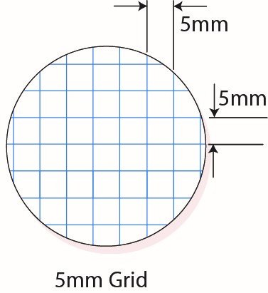 Protext Premium Exercise Book A4 96 Page 5mm Grid E19 Pack of 10