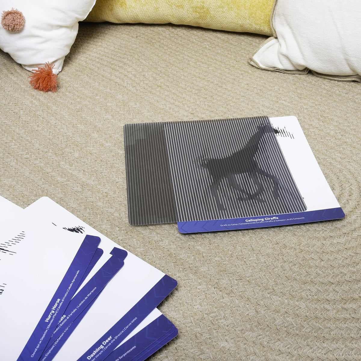 Mindful Motions Sensory Cards Explore