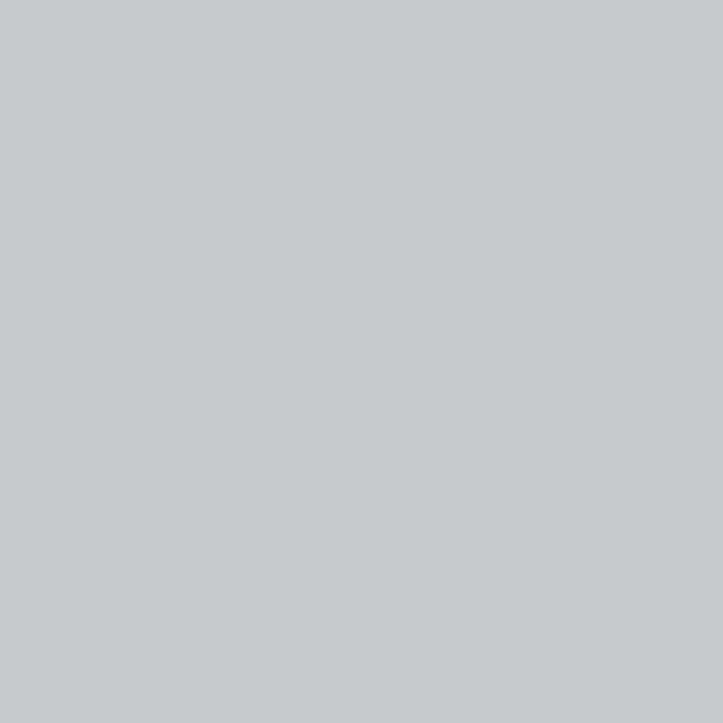 Fimo Soft Standard Block Dolphin Grey 8020-80