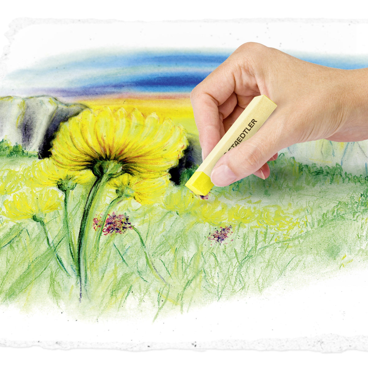 Staedtler Soft Pastel Chalks Box 36 Assorted Colours 2430 C36
