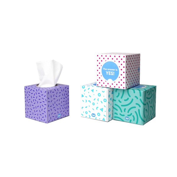 Who Gives A Crap Bamboo Facial Tissues 65 Sheets Carton of 12