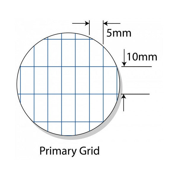 Writer Premium Primary Grid Book A4 48 Page 10x5mm Paint Brush Pack 20