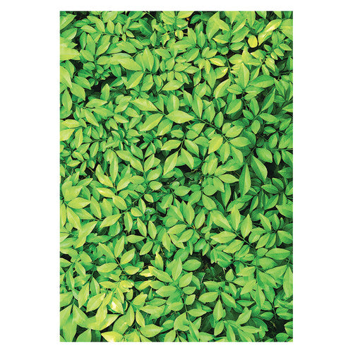 Zart Foliage Pattern Papers A4 Pack of 40