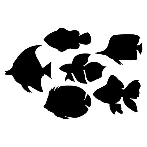 Zart Scratch Fish Pack of 24