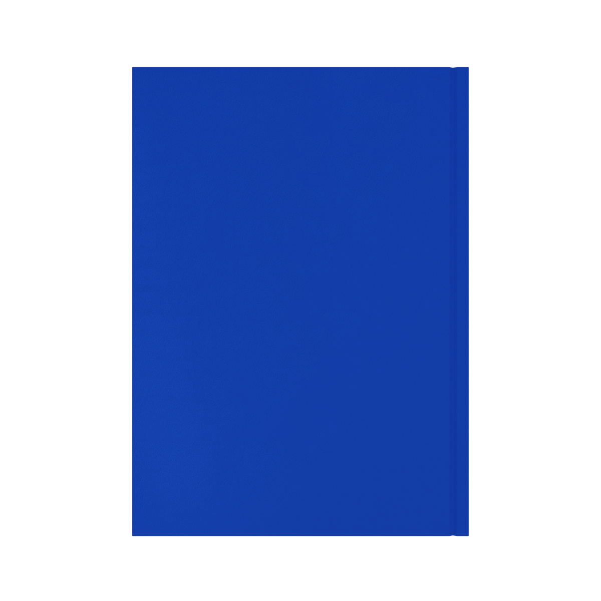Collins Essential Diary 2027 A4 Day to a Page Blue