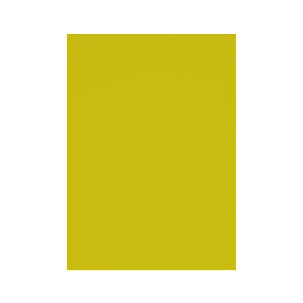 Collins Essential Diary 2027 A4 Day to a Page Yellow