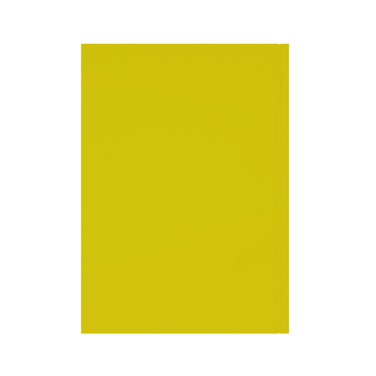 Collins Essential Diary 2027 A4 Week to View Yellow