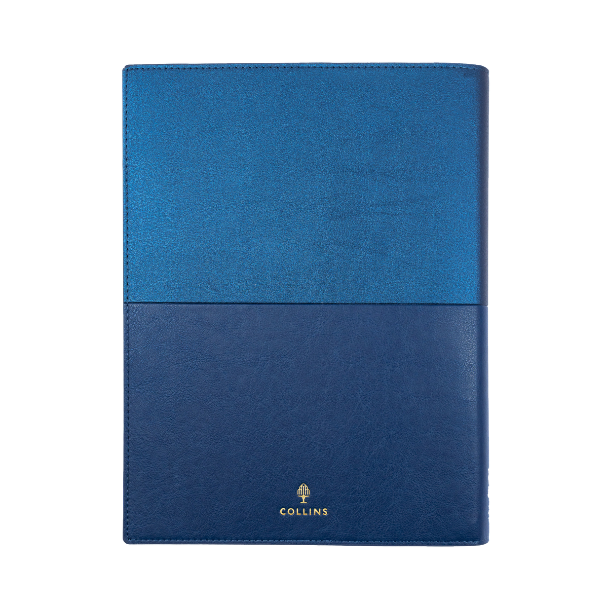 Collins Vanessa Diary 2027 A5 Day to Page Blue
