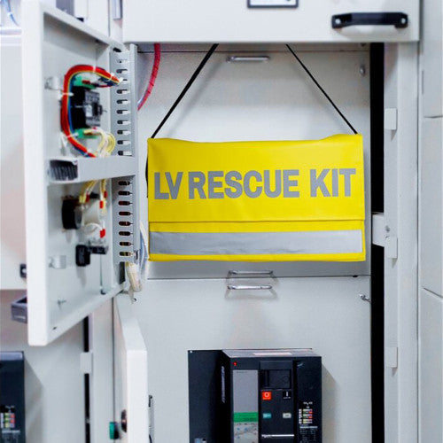 Custom Regulator Low Voltage Rescue Kit