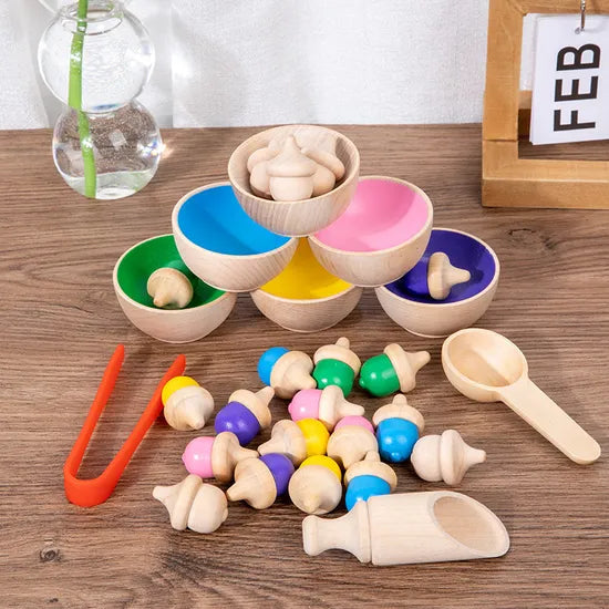 Wooden Colour Sorting Set 29 Pieces