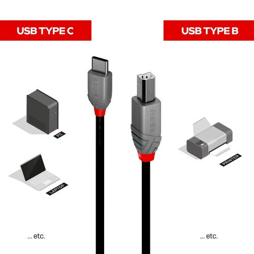 Lindy 1m USB 2.0 Type C to B Cable Anthra Line