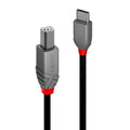 Lindy 1m USB 2.0 Type C to B Cable Anthra Line